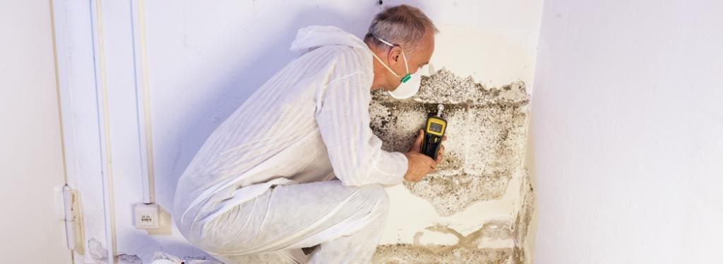 Testing Air Quality After Mold Remediation